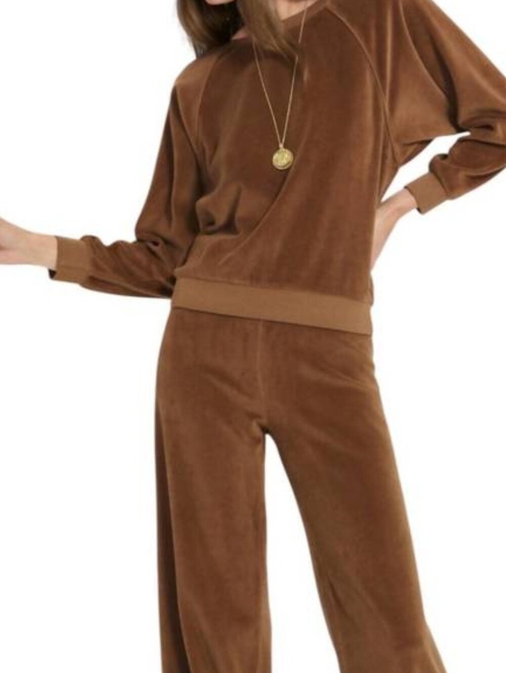 NWT Suzie Kondi Saba Raglan Copper Velour Top